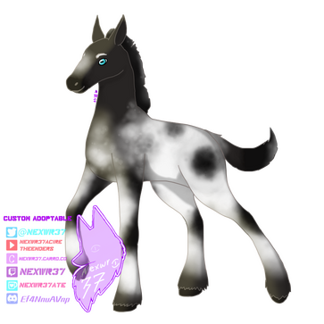 Custom Adoptable Horse Character