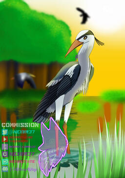 Grey Heron